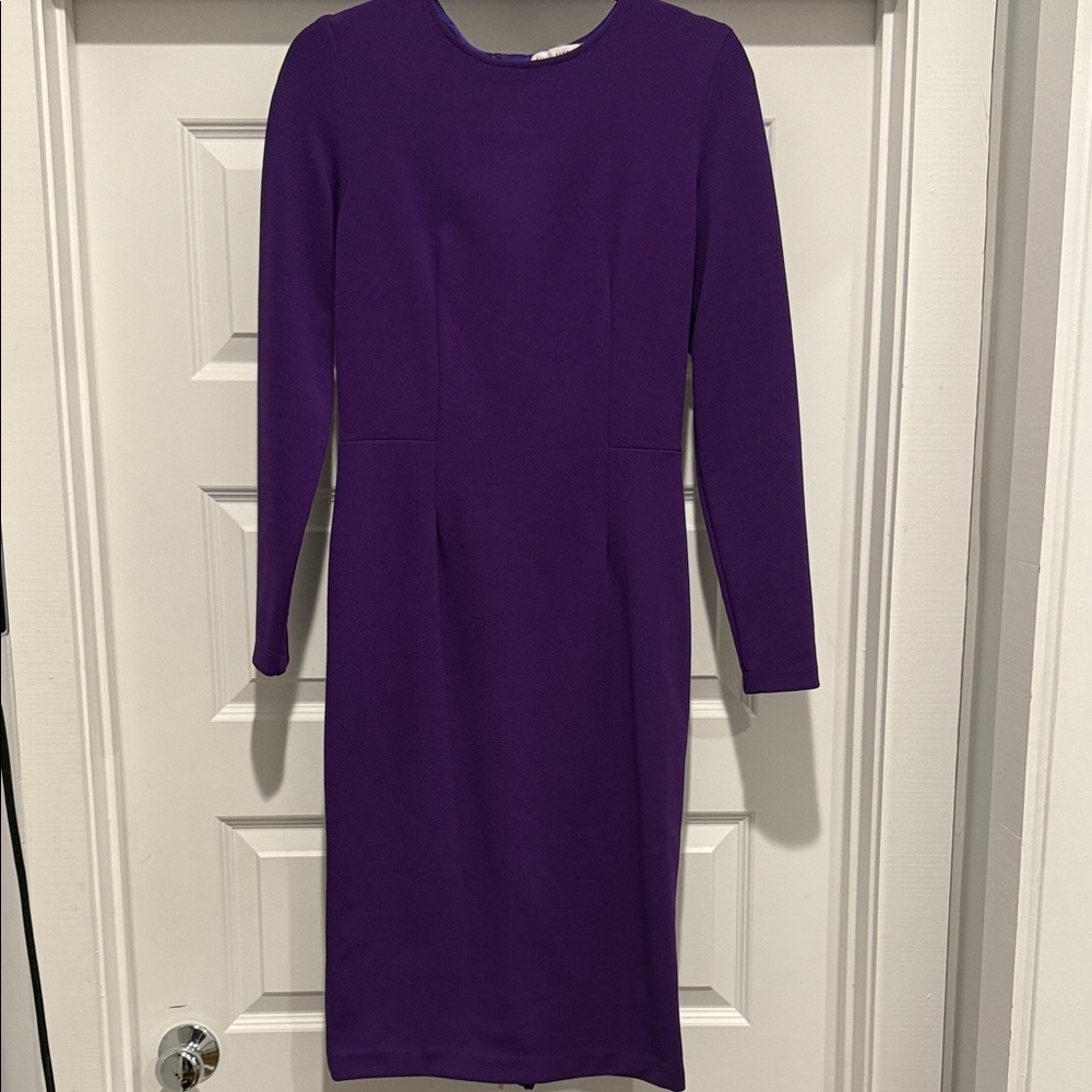 Chic Long Sleeve Purple Dress